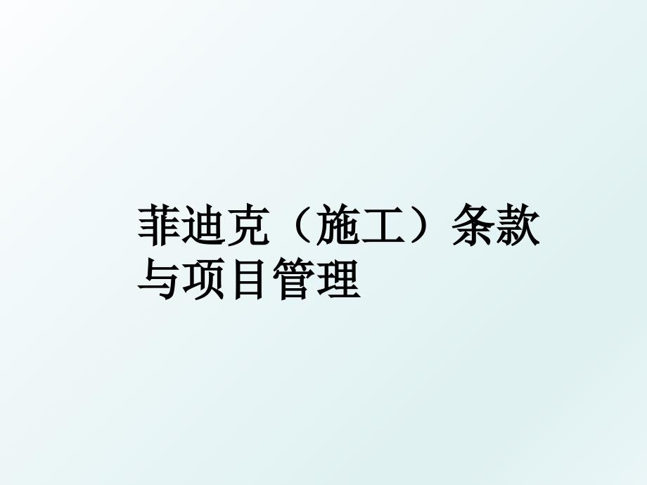 菲迪克（施工）条款与项目_第1页