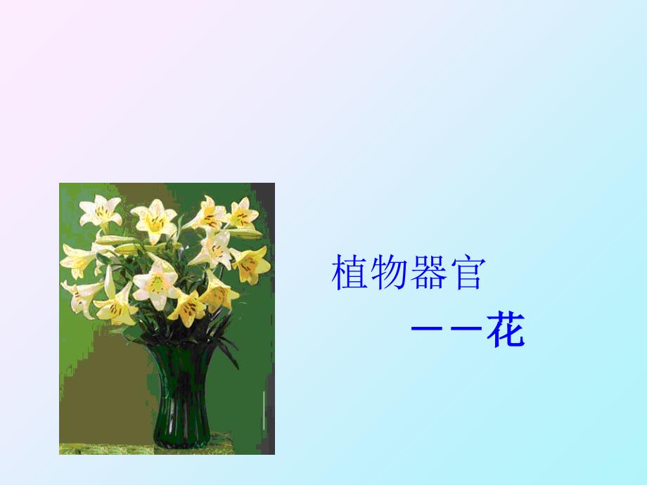 花的基本常识PPT课件_第1页