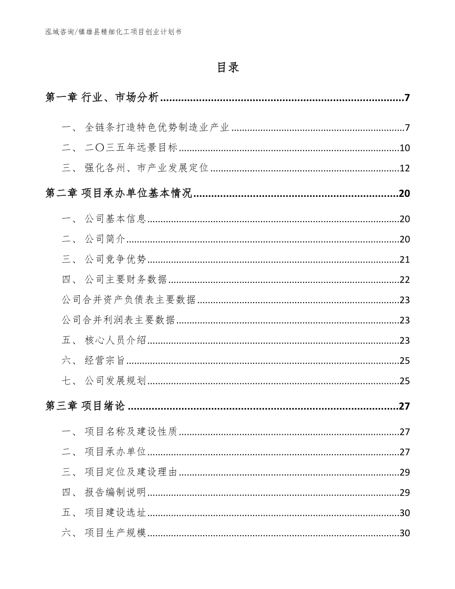 镇雄县精细化工项目创业计划书_参考范文_第2页