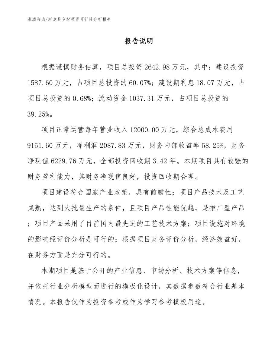 新龙县乡村项目可行性分析报告【范文】_第5页