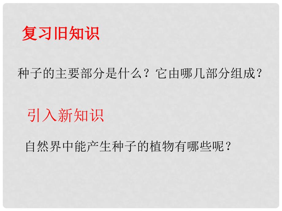 广东省中山市东升初级中学七年级生物上册 第三单元 第一章 第二节 种子植物（第2课时）课件 新人教版_第2页