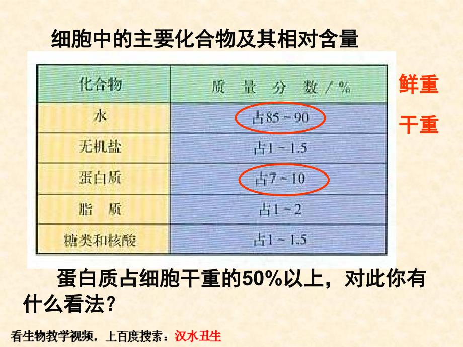 汉水丑生—生命活动的主要承担者——蛋白质_第4页