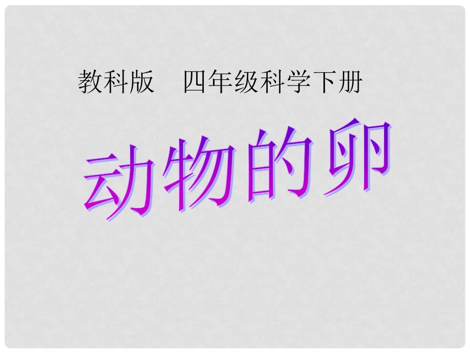 四年级科学下册 动物的卵课件 教科版_第1页