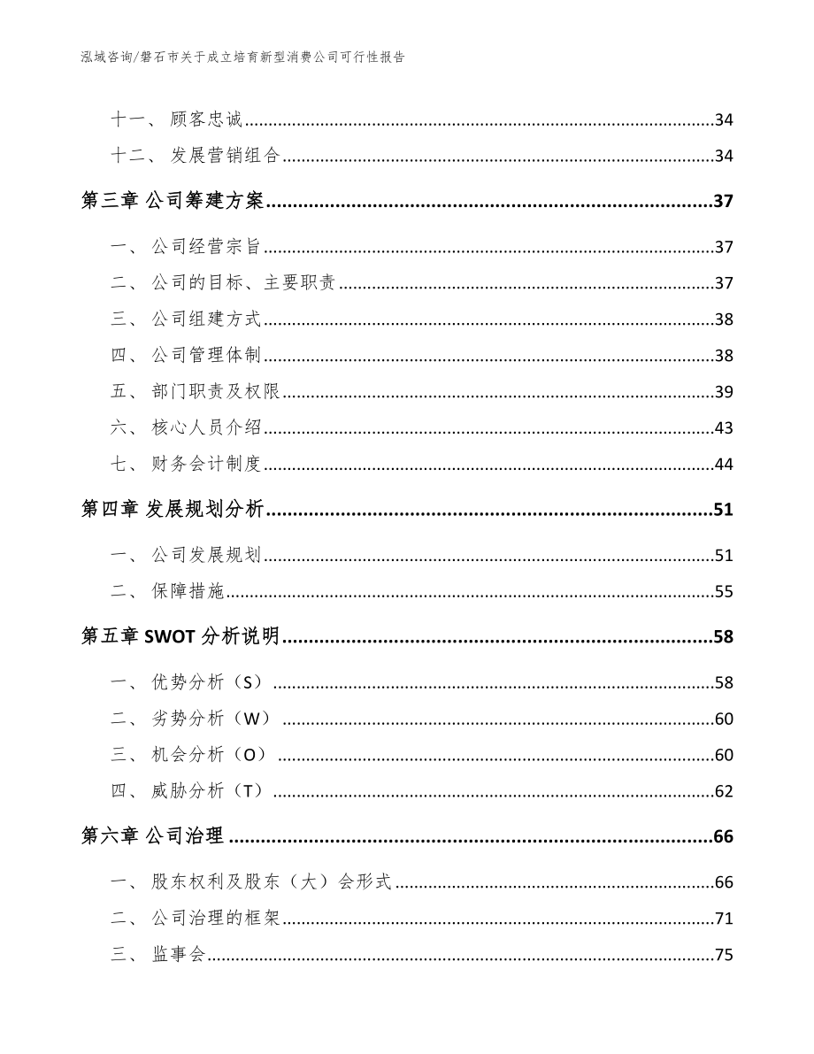 磐石市关于成立培育新型消费公司可行性报告_模板范文_第3页