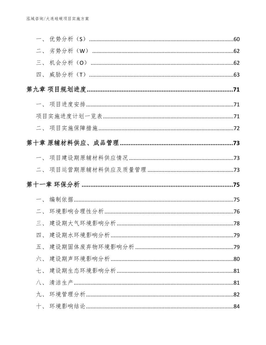 大连硅碳项目实施方案_模板范文_第5页