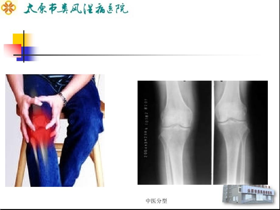 中医分型课件_第4页