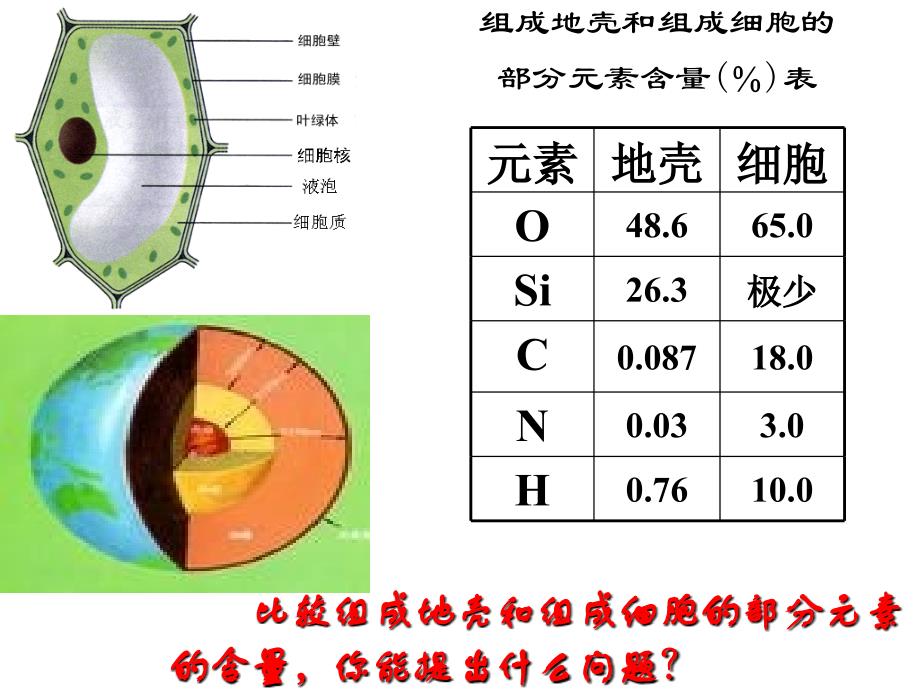 人教版教学课件第二章 第12节 组成生物体的化学元素 蛋白质_第3页