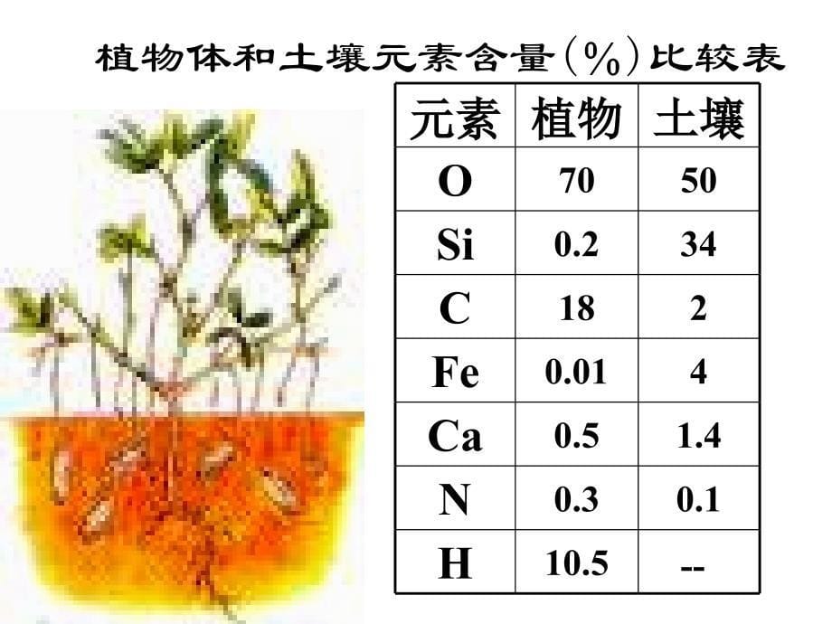 人教版教学课件第二章 第12节 组成生物体的化学元素 蛋白质_第5页