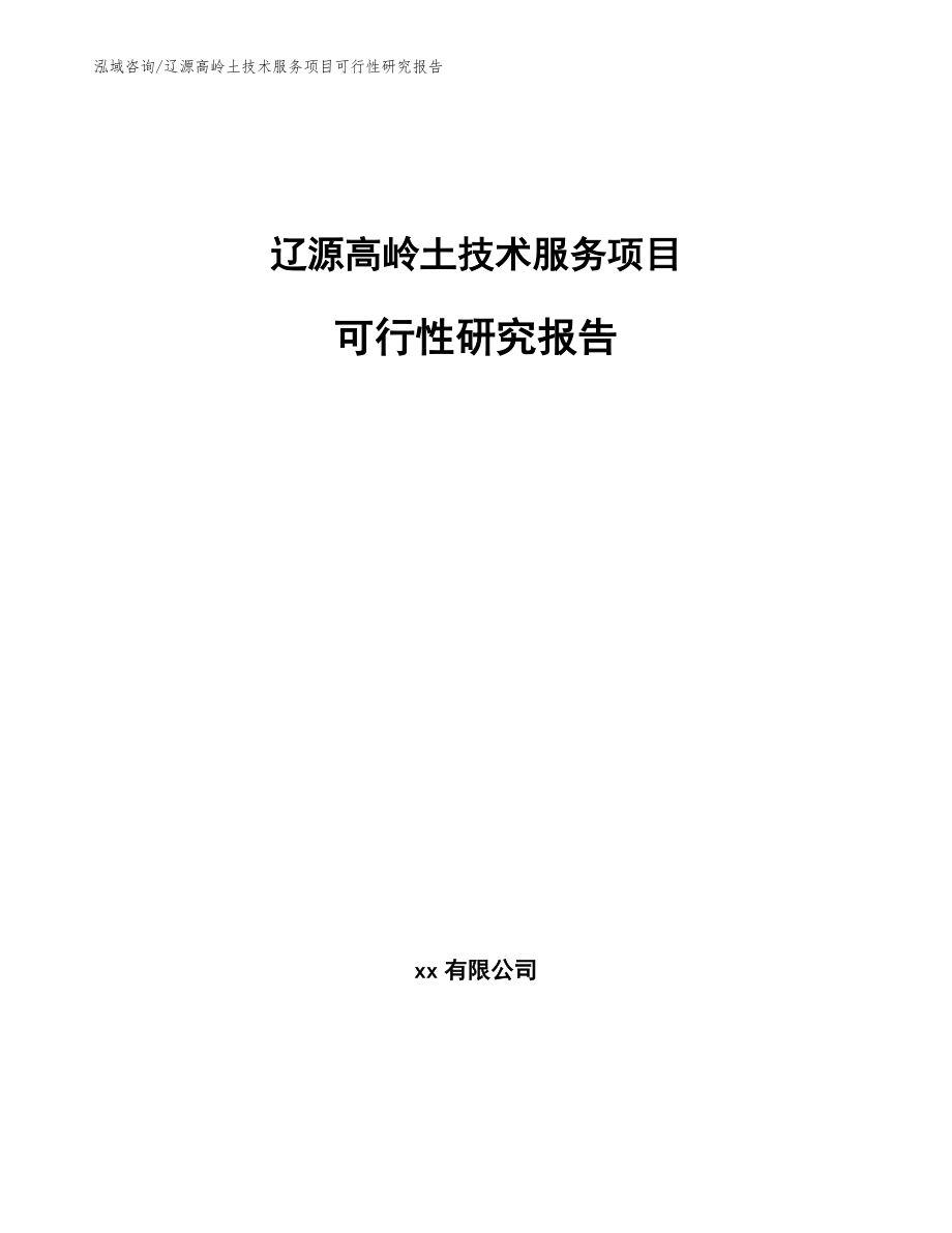 辽源高岭土技术服务项目可行性研究报告_模板范文_第1页