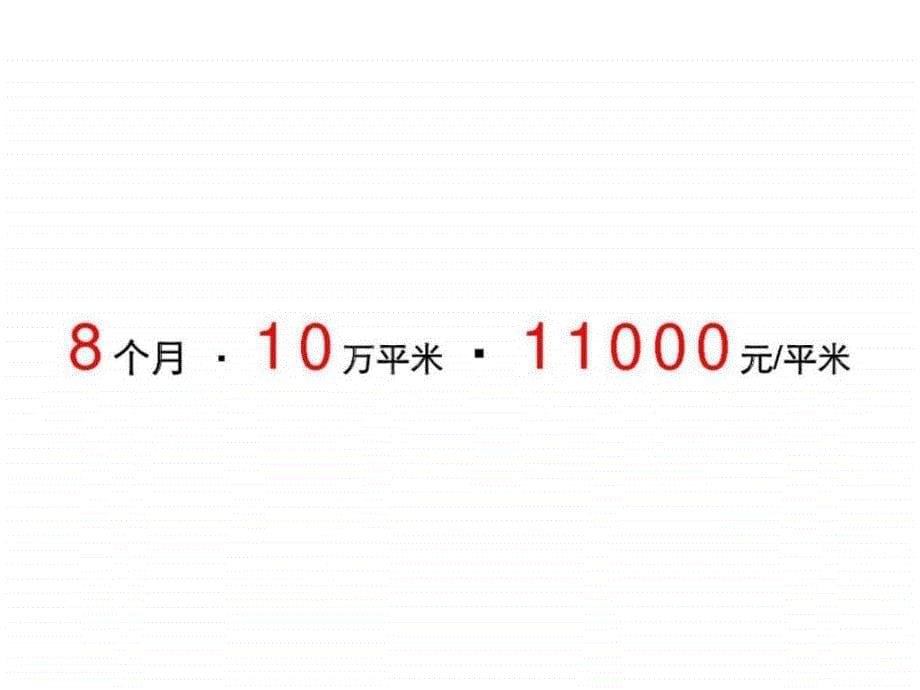 伟业顾问万科假日风景项目营销执行方案_第5页