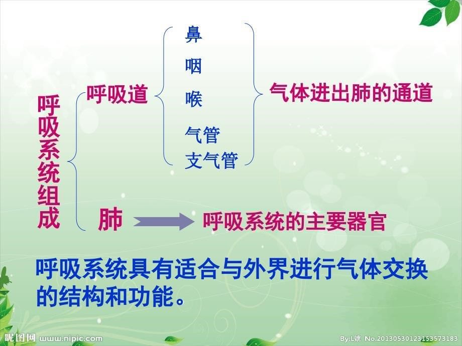 七年级生物下册 第三章 第一节呼吸道对空气处理_第5页