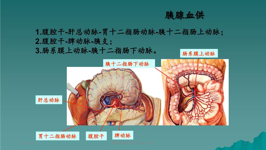 胰腺肿瘤影像学诊断2_第3页