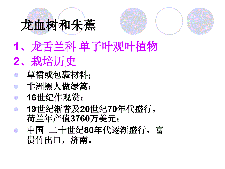 《龙血树和朱蕉》PPT课件_第1页