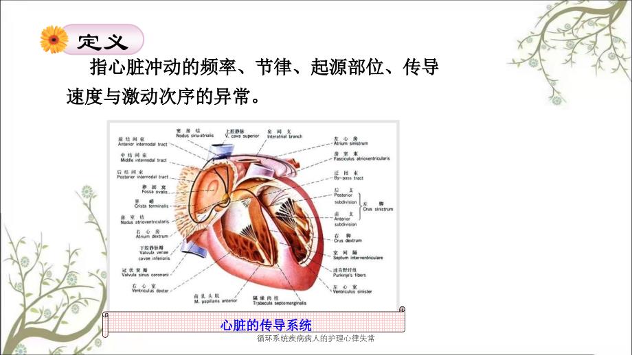 循环系统疾病病人的护理心律失常_第2页