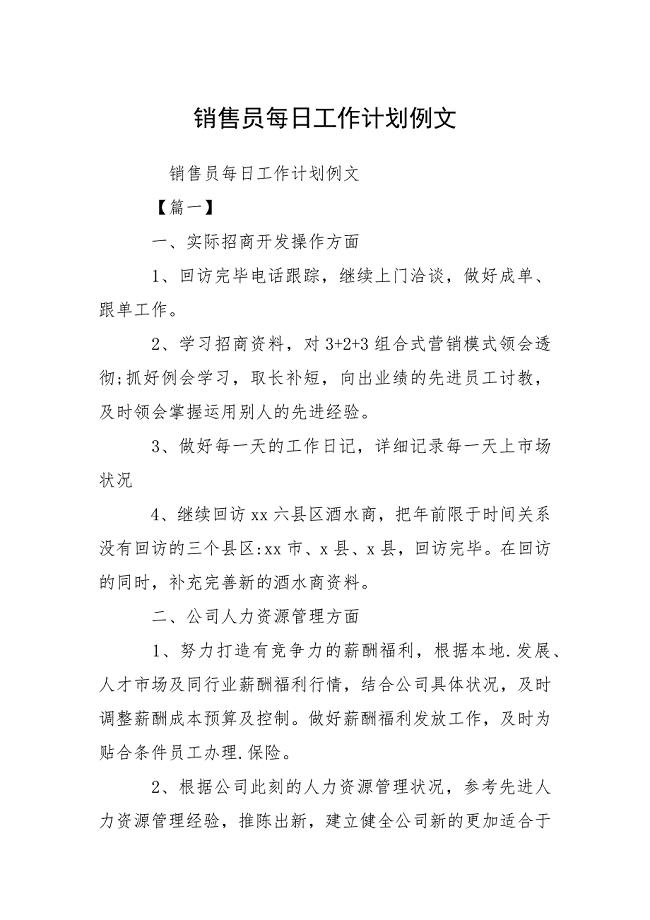 销售员每日工作计划例文.docx