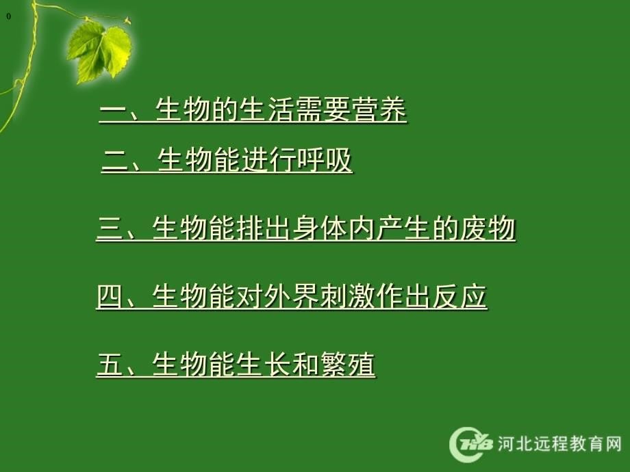 生物的特征_第5页