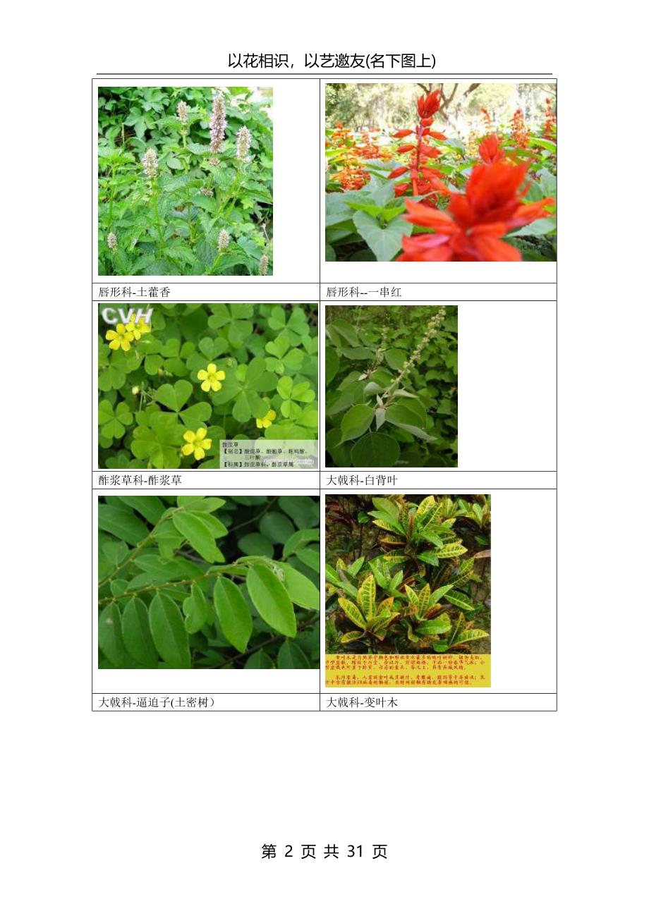 南方常见植物图谱.doc_第2页