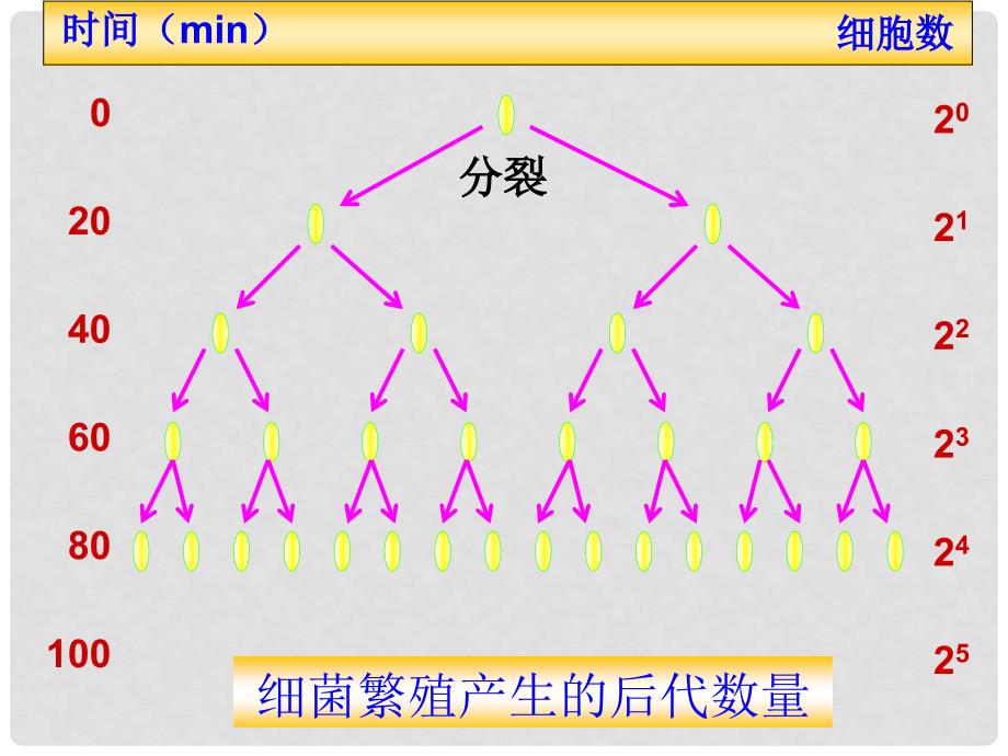 福建省福清市高中生物 4.1 种群的特征课件 新人教版必修3_第3页