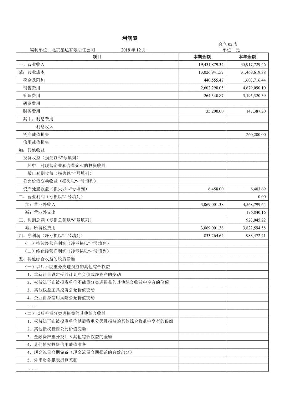 格式的资产负债表和利润表_第5页