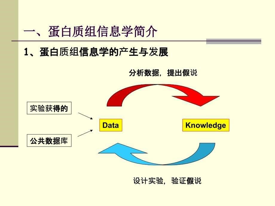 蛋白质组学技术：蛋白质组学中的生物信息学_第5页