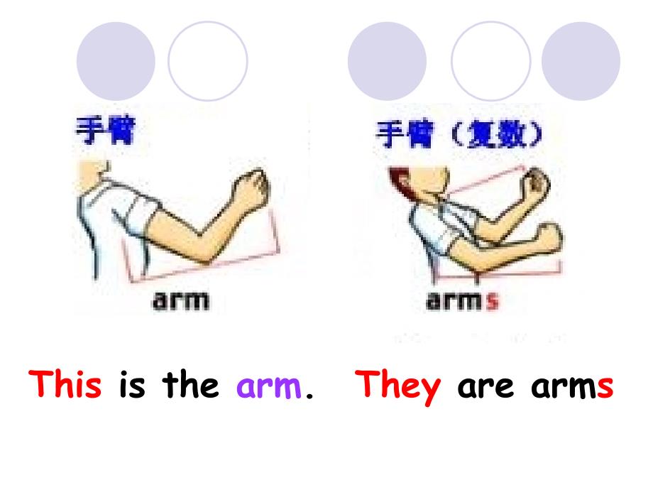 （人教新版）三年级英语上册课件Unit3(27)_第3页