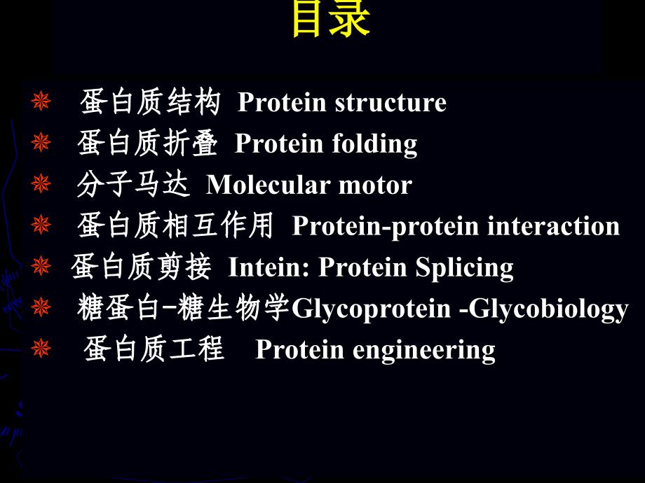 《蛋白质结构》PPT课件_第2页