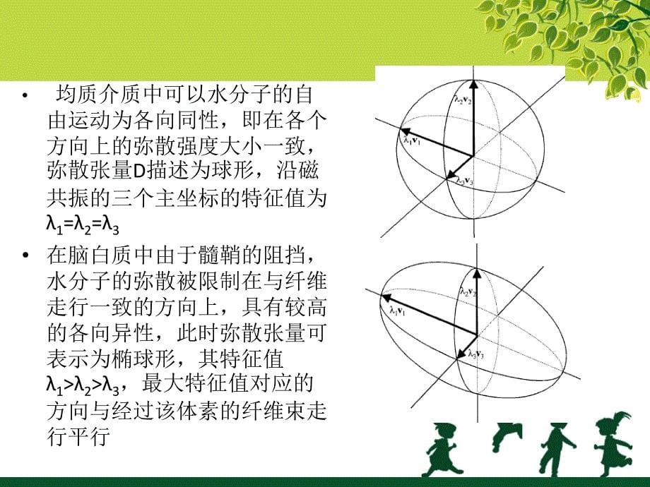 DKI (弥散峰度成像) 英文PPT简介_第5页