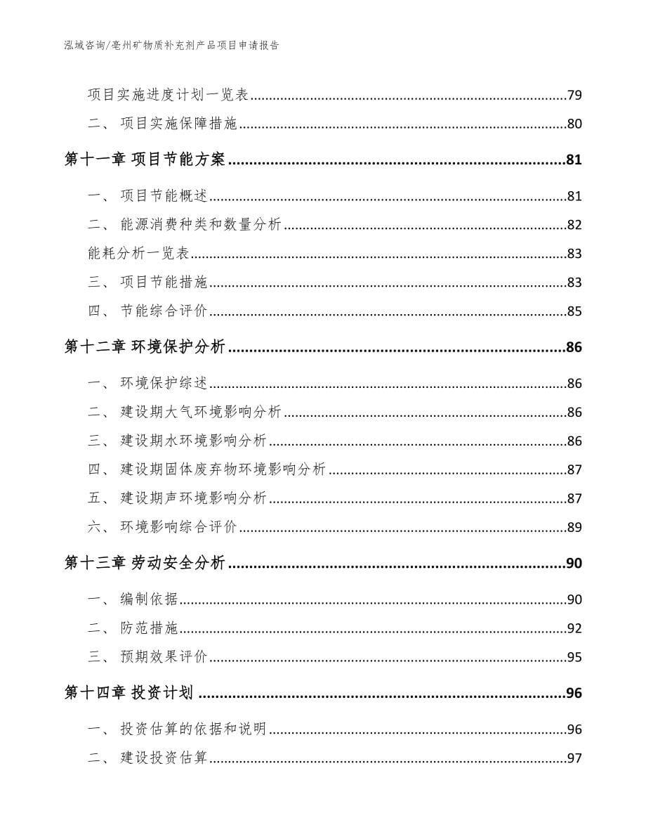 亳州矿物质补充剂产品项目申请报告（范文模板）_第5页