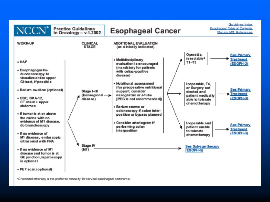食管癌分期及其手段课件_第2页