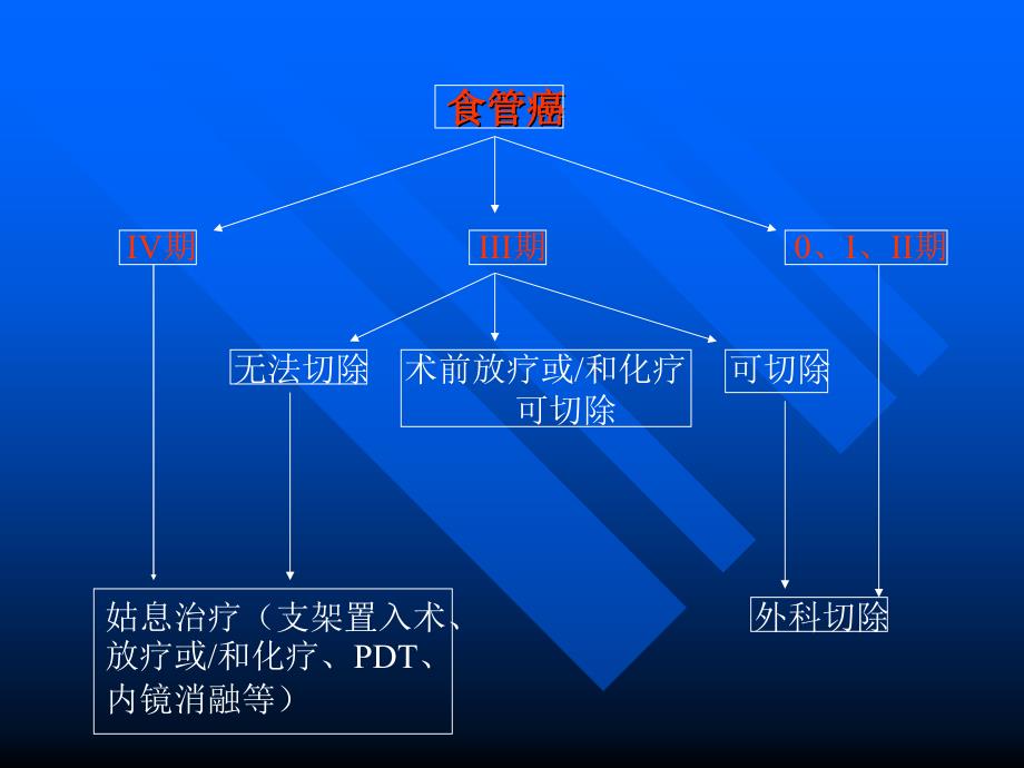 食管癌分期及其手段课件_第3页