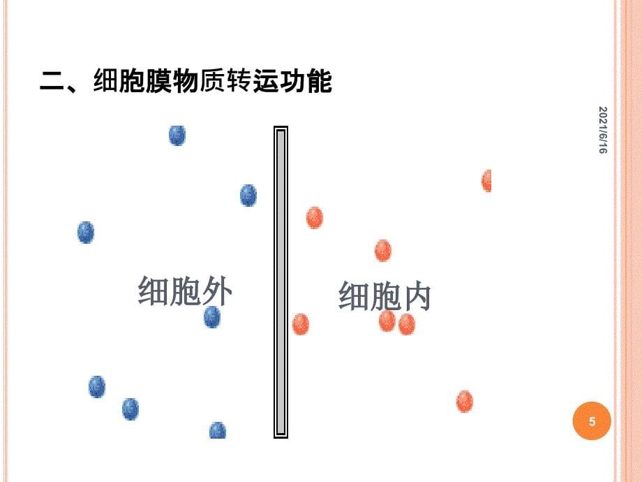 生理学 动作电位 肌肉收缩原理_第5页