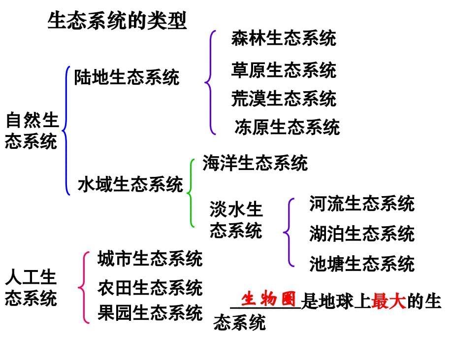 生态系统的结构PPTPPT通用课件_第5页