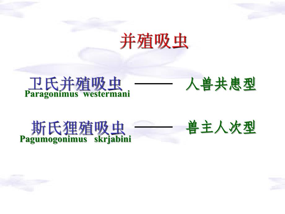 肺吸虫、曼氏绦虫、带绦虫、细粒棘球绦虫邹_第2页