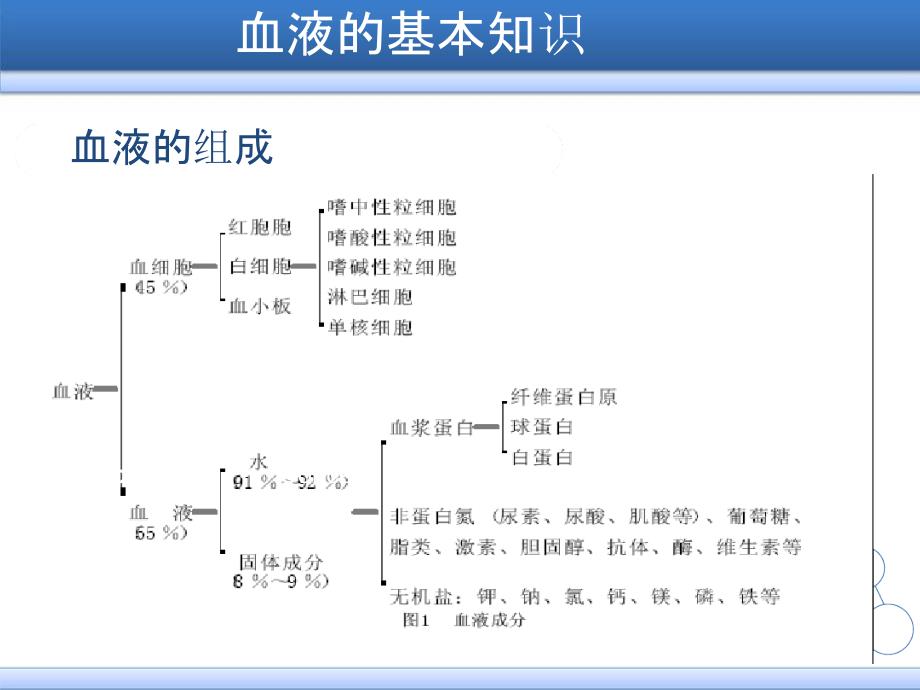 3手工法及自动血细胞分析仪法课件_第2页