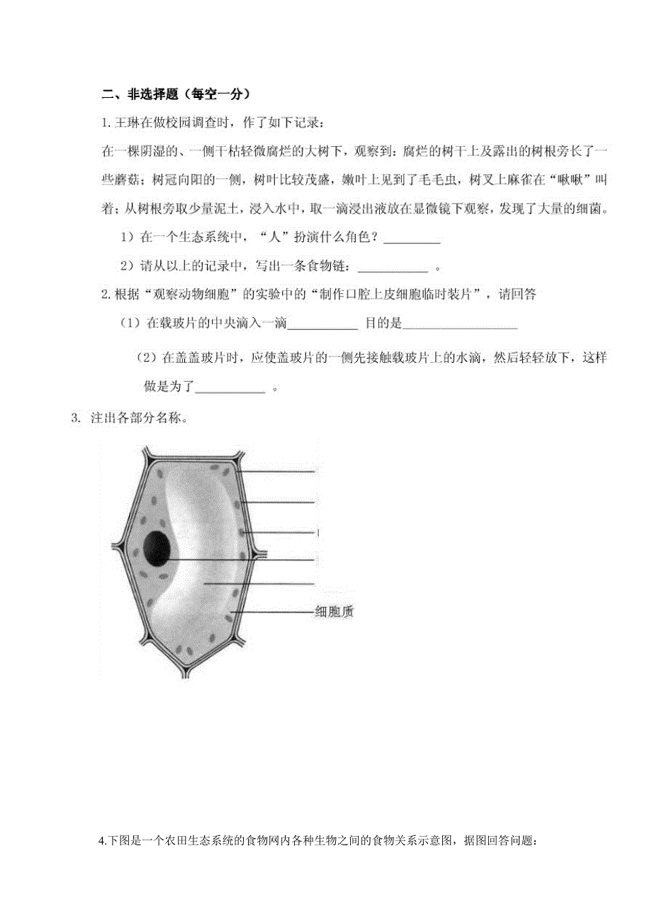 七年级上学期生物期中考试试卷_第3页