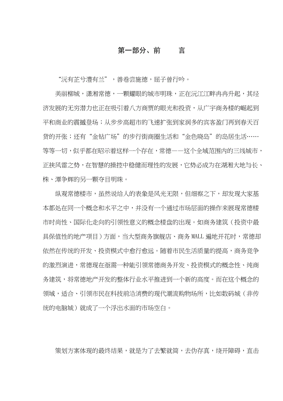 数码城全程营销策划方案_第2页