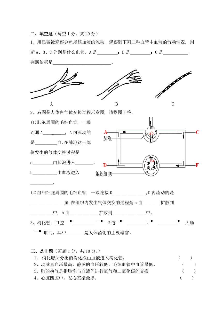 七年级生物联考试卷（钟燕辉）.doc_第3页