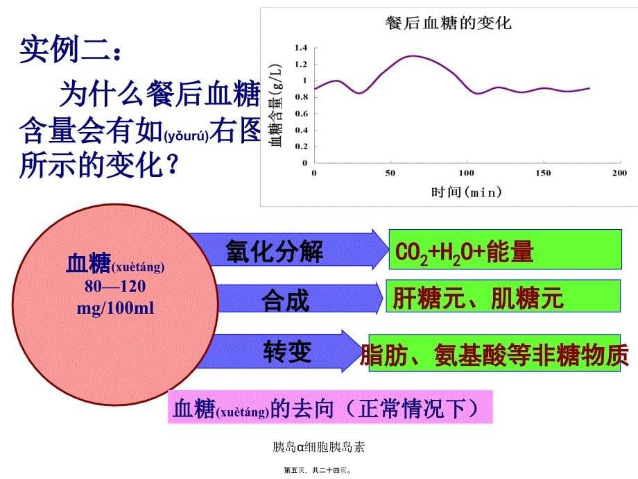 胰岛细胞胰岛素课件_第5页