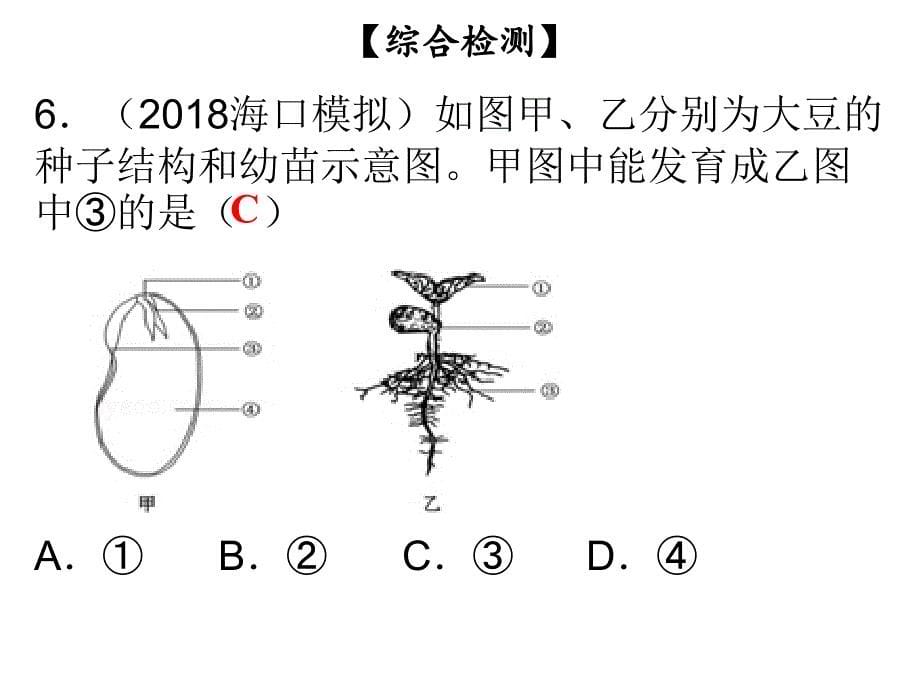 七年级生物上册北师大版课时作业课件第3单元第6章第6章综合检测_第5页