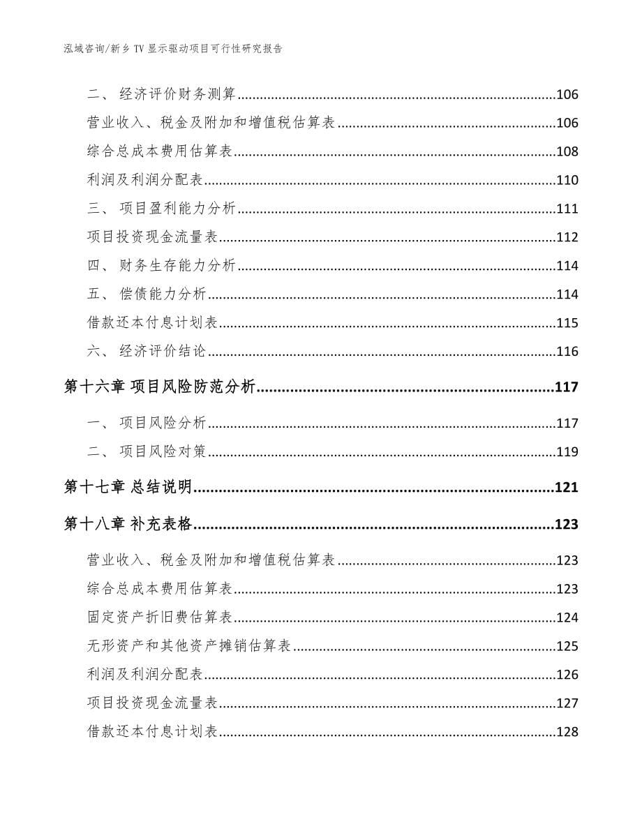 新乡TV显示驱动项目可行性研究报告【模板】_第5页