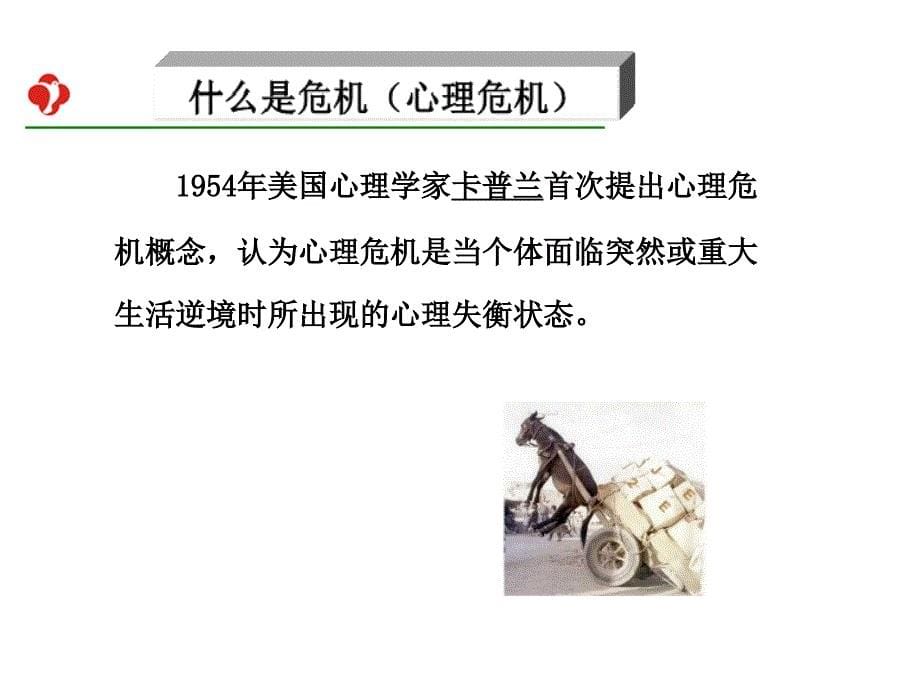 心理危机评估_第5页