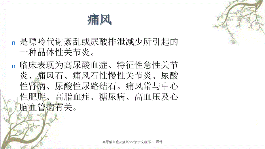 高尿酸血症及痛风ppc演示文稿邢PPT课件_第2页