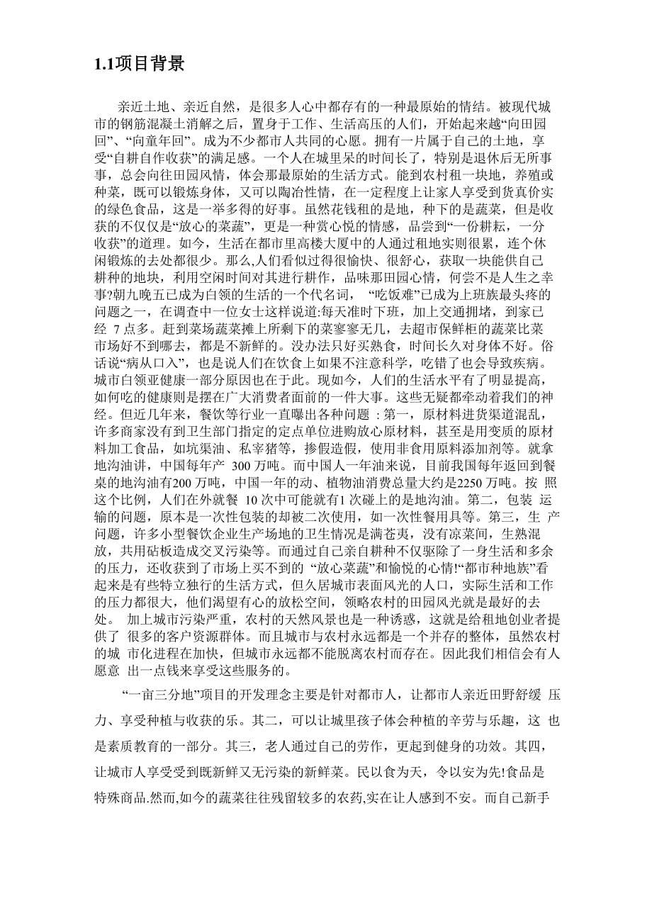 网上种地商业计划书_第5页