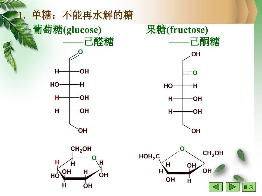 生物化学之糖_第5页