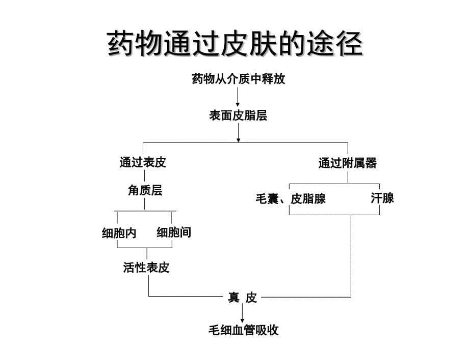 经皮吸收制剂_第5页