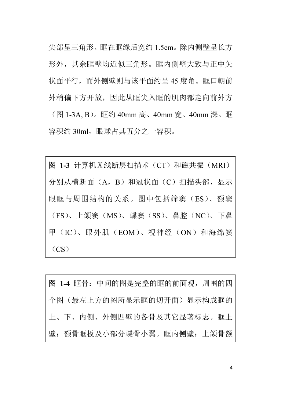 眼科基础医学——第一章眼与眼眶的解剖.doc_第4页