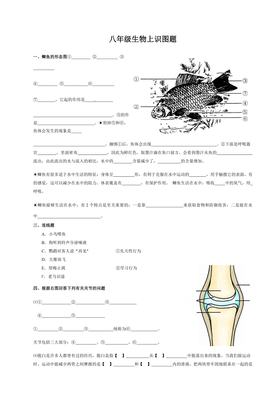 八年级生物上填图题(识图题)专题复习.doc_第1页