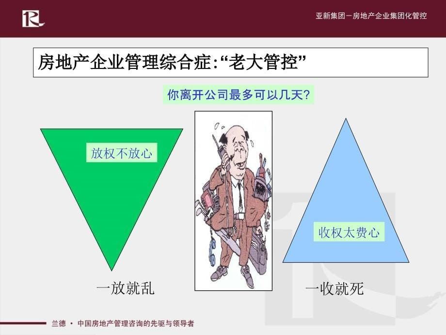 房地产企业集团化管控_第5页