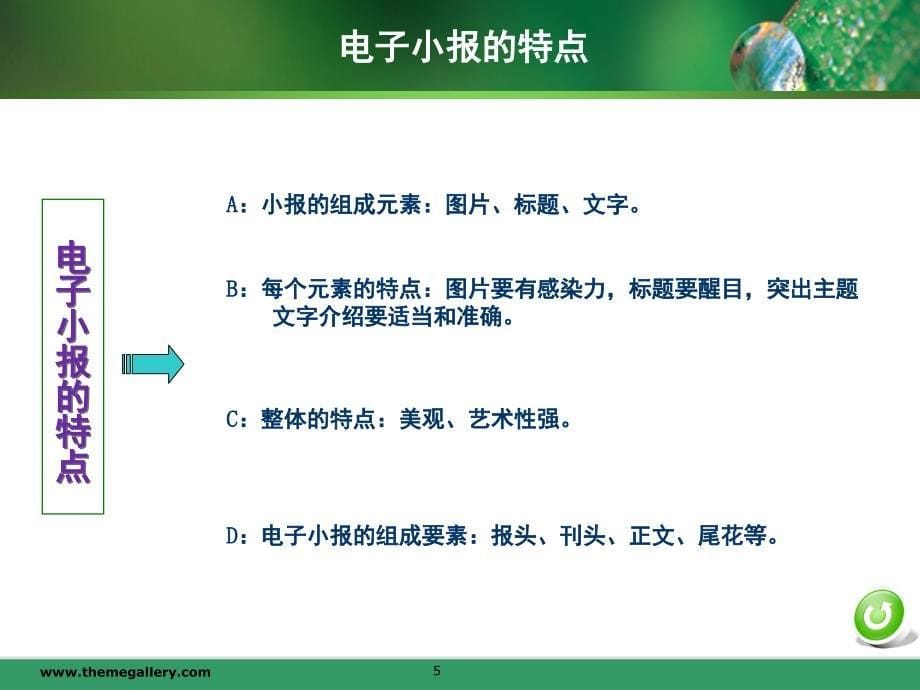 电子小报的设计与制作课堂PPT_第5页