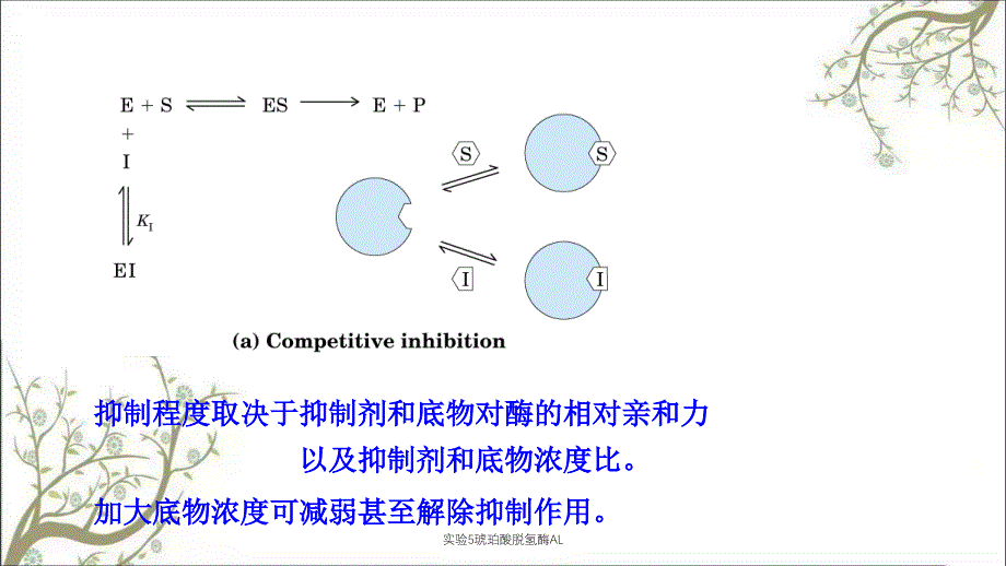 实验5琥珀酸脱氢酶AL_第4页